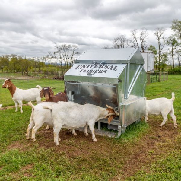 1250L Original Feeder